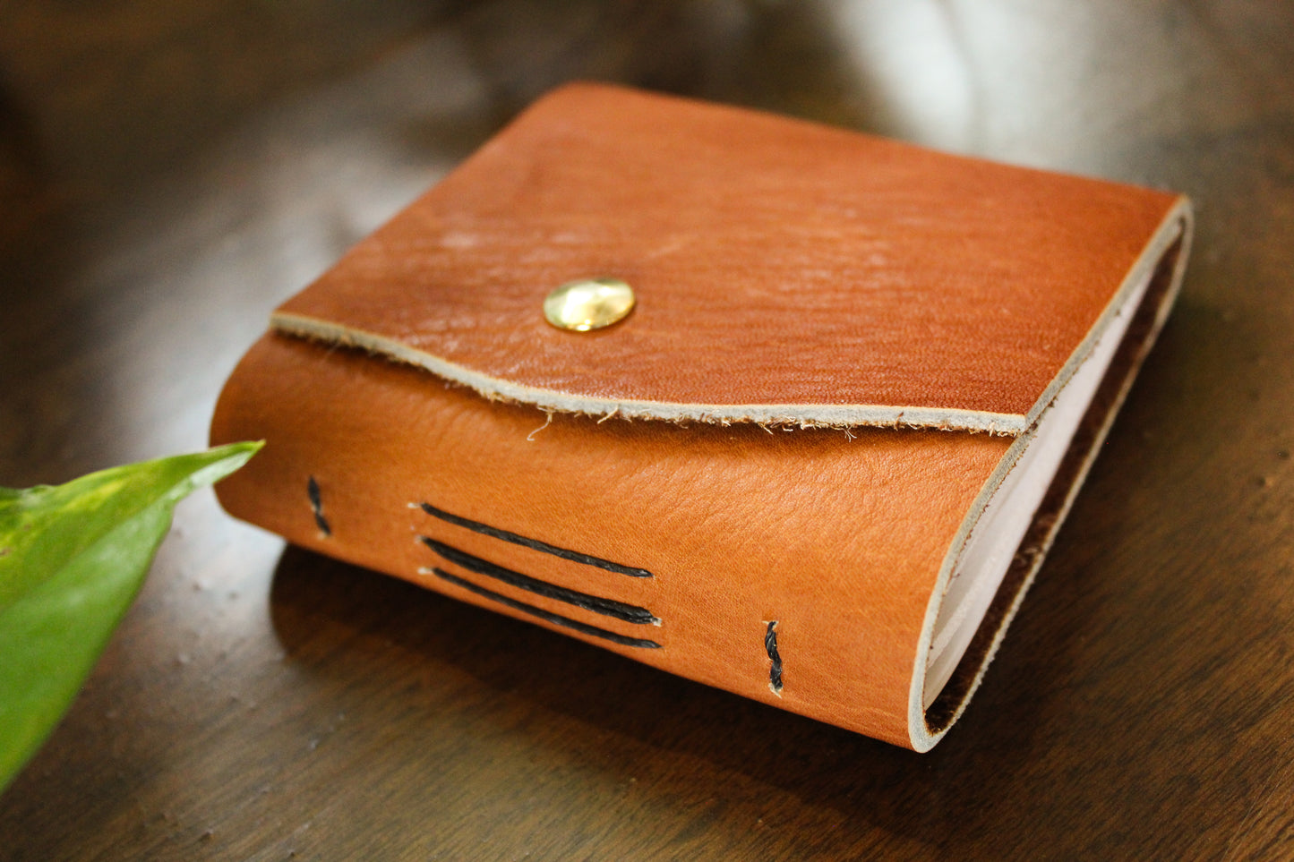 Pocket Journal