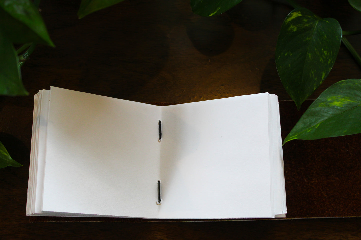 Pocket Journal