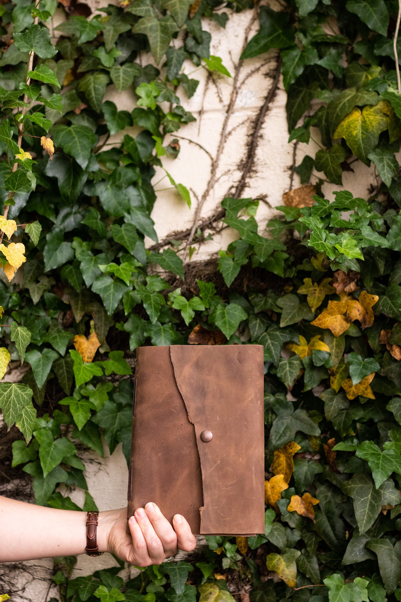 The Professor (Digory)