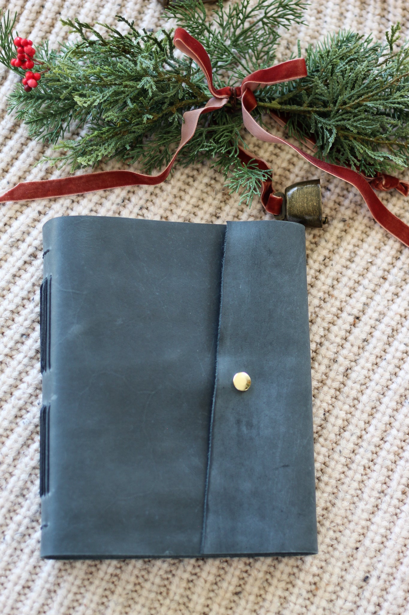 The Professor (Digory)