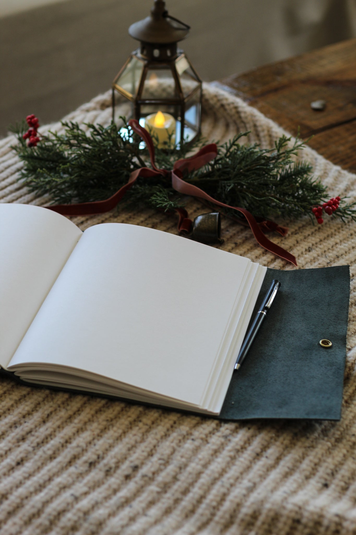 The Professor (Digory)