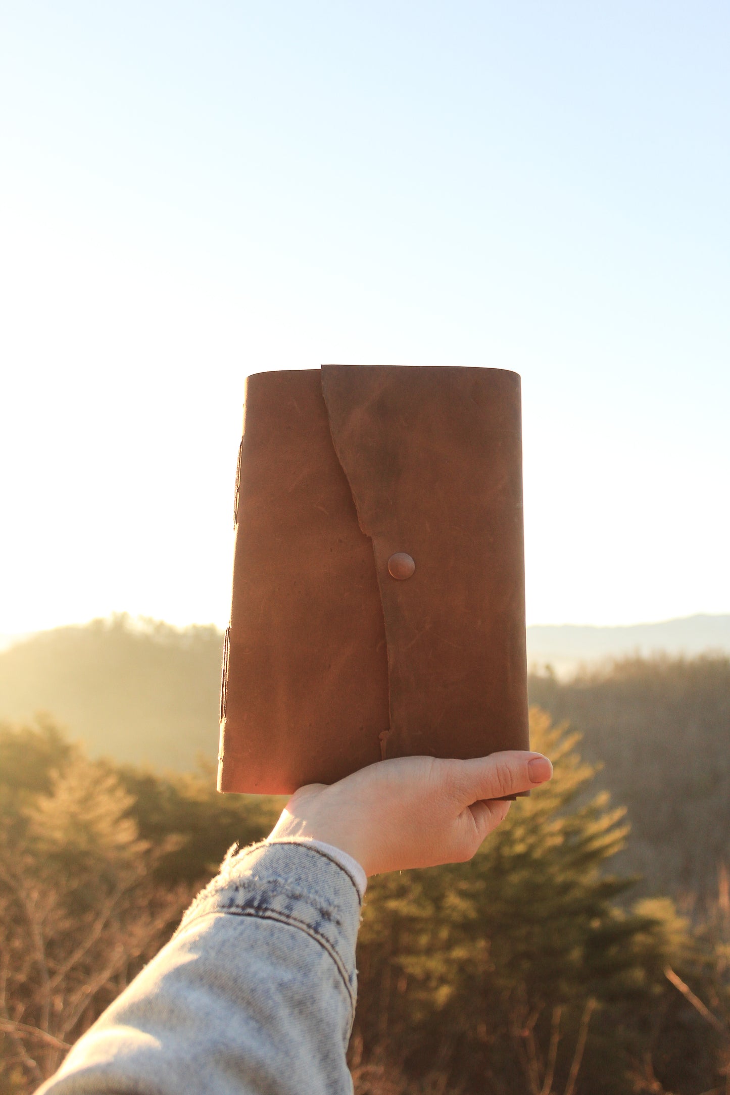 The Professor (Digory)